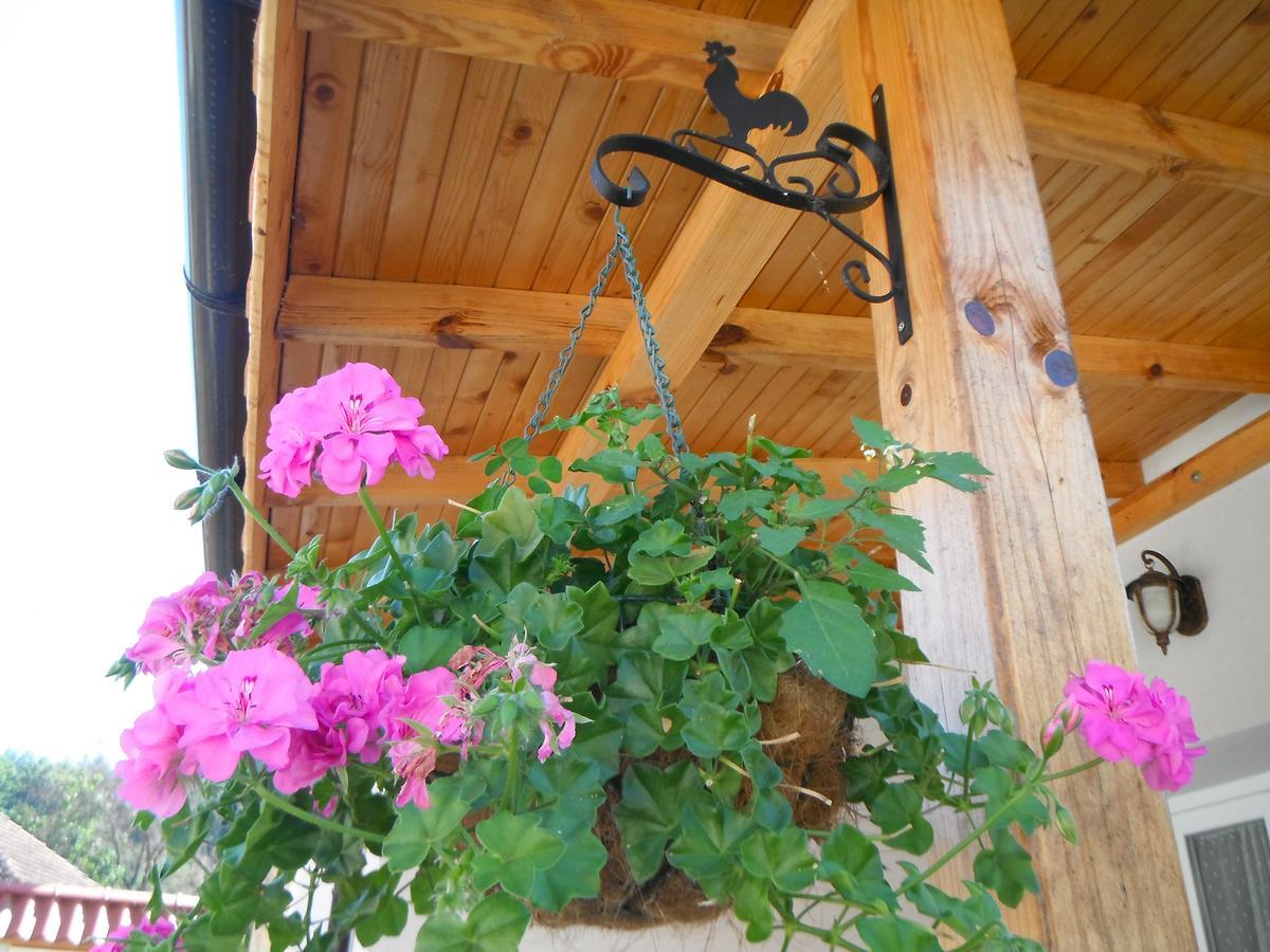 Villa Ani Gorna Kovachitsa エクステリア 写真
